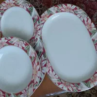 سرویس غذا خوری مقصود|ظروف سرو و پذیرایی|کرج, شهرک جهان‌نما|دیوار