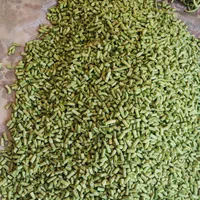 لوبیاسبزخردشده وشسته شده برا پلو وخورشتی|خوردنی و آشامیدنی|اصفهان, آزادان|دیوار