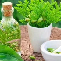 کار و درامد زایی درمنزل   ویژه بانوان