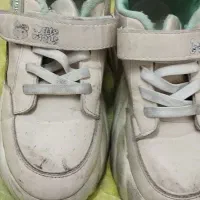 کتونی وصندل ونیم بوت|کیف، کفش، کمربند|پاکدشت, پارچین|دیوار