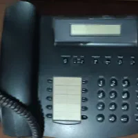 عروسک های بامزه ،ظروف،تلفن سالم|حراج|مشهد, رده|دیوار