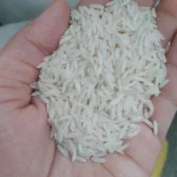 برنج  شیرودی|خوردنی و آشامیدنی|الوند, |دیوار
