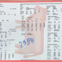 نیرو دامداری راننده تراکتور و وسط کاری