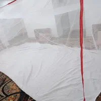 پشه بند