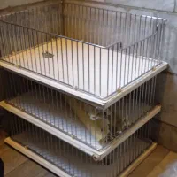 نظم دهنده سبدی کشویی کابینت