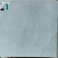 کاشی و سرامیک ۶۰*۶۰ اقتصادی|مصالح و تجهیزات ساختمان|ساری, |دیوار