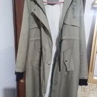 پالتو