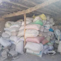کنگر برای دام