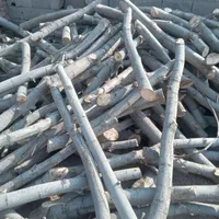 خرید چوب درخت قلمه،ضایعات میوه و چوب دام|خدمات باغبانی و درختکاری|خوی, |دیوار