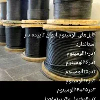 استخدام بازنشسته جهت فروش الکتریکی