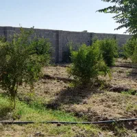 باغچه ۷۶۰ متری جاده دشت سبز|فروش خانه و ویلا|ورامین, قويينک زهری|دیوار