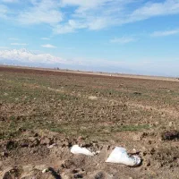 زمین کشاورزی حاصلخیز با سند تکبرگ