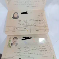 شناسنامه پیدا شده