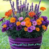 نظافت ساختمان