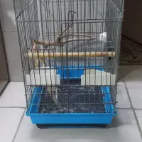 قفس پرنده