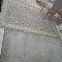 قالی ۱۲۰۰شانه|فرش|شیراز, فرگاز|دیوار