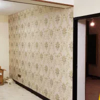 تعویض کاغذ دیواری با گارانتی.زیرسازی حرفه ای،تعمیر|خدمات پیشه و مهارت|شیراز, ارم|دیوار