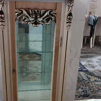ویترین،بدون زدگی و رنگ پریدگی ،سالم