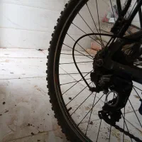 حسین|دوچرخه، اسکیت، اسکوتر|مشهد, تبادکان|دیوار