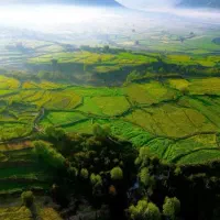 فروش زمین در سوسن