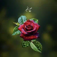 اجاره ی زمین کشاورزی