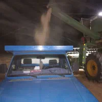 حمل بار حمل بار