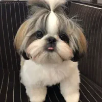 عروسک های زنده فول کیفیت