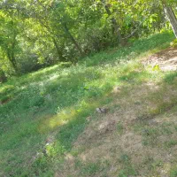 فروش زمین یا باغ تفریحی وهنان دلنشین ماشین رو