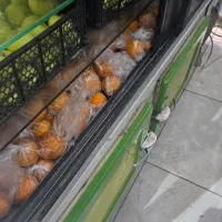 یخچال ویترینی الکترو استیل|فروشگاه و مغازه|مشهد, عامل|دیوار