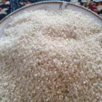 خرده برنج کامفیروزی نو|خوردنی و آشامیدنی|شیراز, پانصد دستگاه ارتش|دیوار