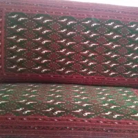 دو جفت پشتی