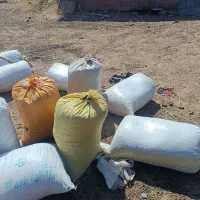 کود گوسفندی درجه یک|خدمات باغبانی و درختکاری|طالقان, |دیوار