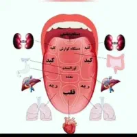 با زبان شناسی از حال درونت خبر دار شو