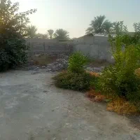 فروش خانه وزمین باغی|فروش خانه و ویلا|برازجان, |دیوار