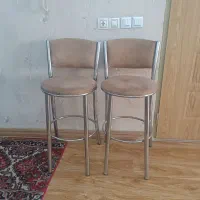 صندل در حدنو