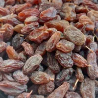 الو  و به و کشمش آفتابی ارزان|خوردنی و آشامیدنی|یزد, |دیوار