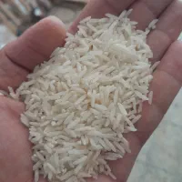 برنج طارم خوشپخت درجه یک