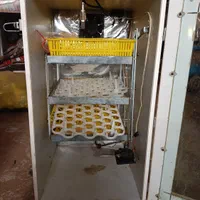 دستگاه‌جوجه‌کشی