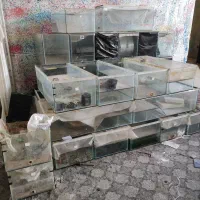 آکواریوم مخصوص پروش