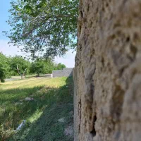 باغچه ۴۶۰ متری آب برق گاز داخل مجموعه دهشاد|فروش زمین و ملک کلنگی|شهریار, اسکمان|دیوار