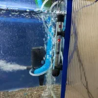 بخاری آکواریوم