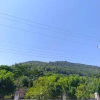 250متر ویلای جنگلینوساز / بدون واسطه|فروش خانه و ویلا|زیرآب, |دیوار