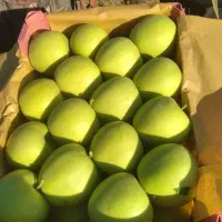 باغ سیب و گلابی