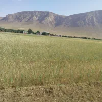 زمین کشاورزی گلخانه ای