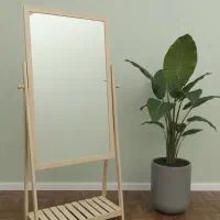 آینه‌های قدی طرح جدید دکوراسیون و کاربرددر یک قاب