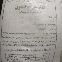 دان بوقلمون گوشتی