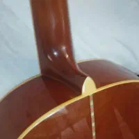 گیتار سانتانا cg010|گیتار، بیس، امپلیفایر|تهران, لویزان|دیوار