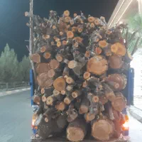 خریدار  هرس انواع چوب خشک و تر در محل شما