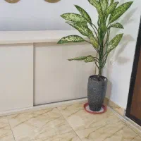 ام دی اف ۱۸۰|بوفه، ویترین، کنسول|رشت, گلزاران|دیوار