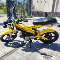 زیگما ساچ آلمانی